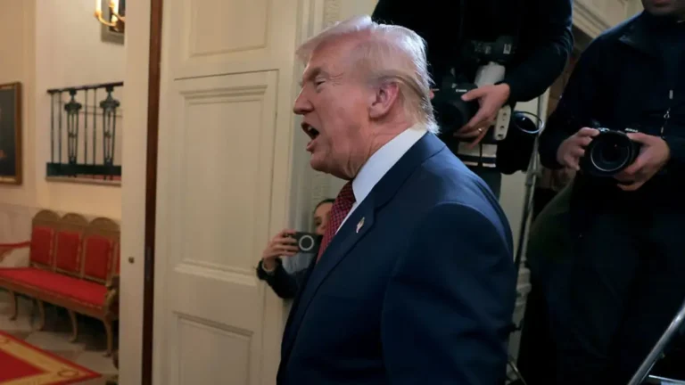 Your-paragraph-text-17