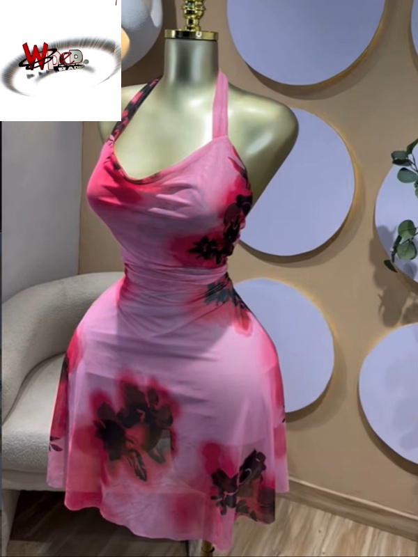 Floral Printed Sleeveless Halter Neck Backless A-line Mesh Mini Dress - Image 3