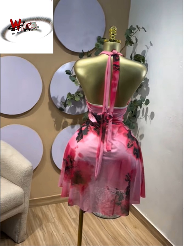 Floral Printed Sleeveless Halter Neck Backless A-line Mesh Mini Dress - Image 4