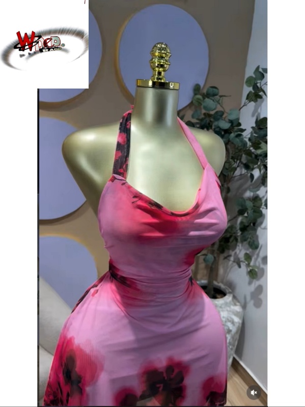 Floral Printed Sleeveless Halter Neck Backless A-line Mesh Mini Dress - Image 6