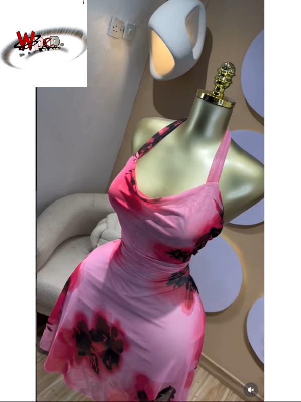 Floral Printed Sleeveless Halter Neck Backless A-line Mesh Mini Dress - Image 7