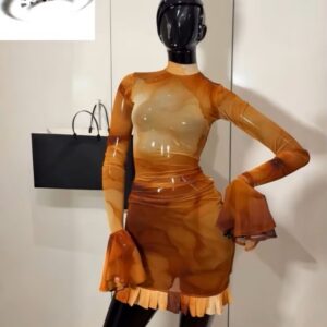 O-Neck Bodycon See Through Pleated Mini Dress