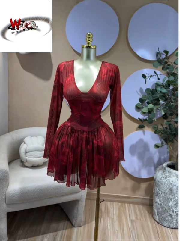 V-neck Corset Lace Up Fit and Flare Mesh A-line Dress