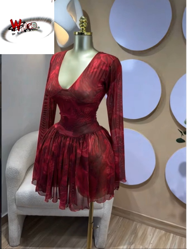 V-neck Corset Lace Up Fit and Flare Mesh A-line Dress - Image 4