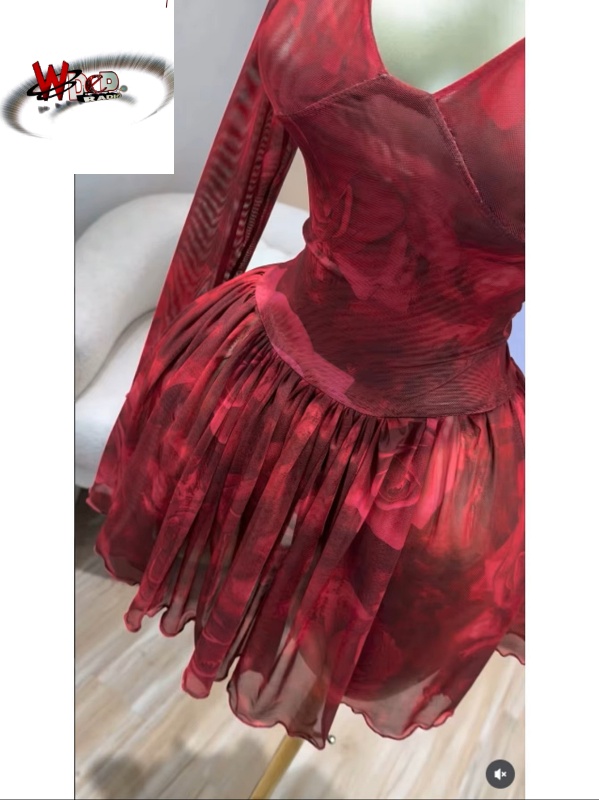 V-neck Corset Lace Up Fit and Flare Mesh A-line Dress - Image 6