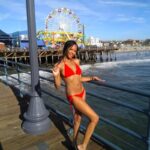 Shay Newton1